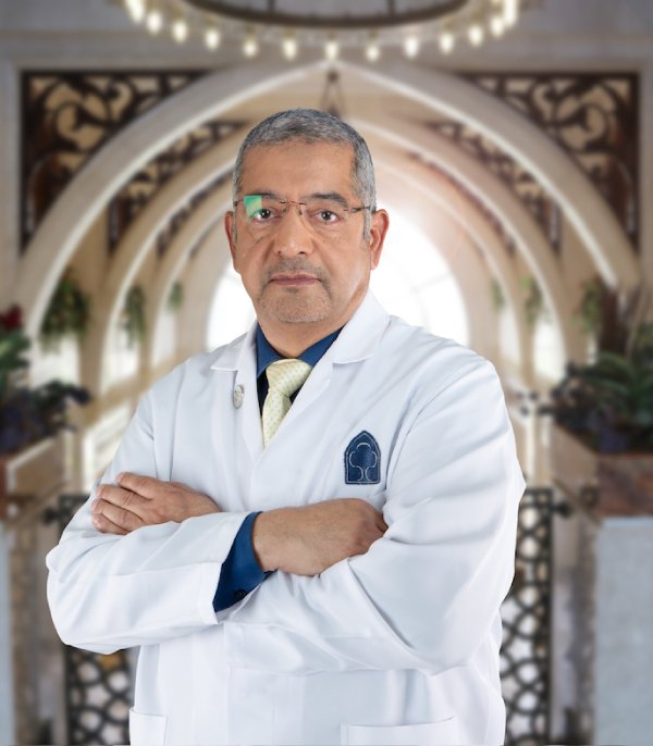                 Abdulaziz E. Abdulaziz
              