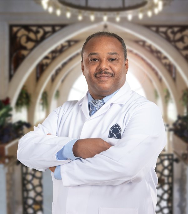           Tamir Bashir Babikir
        